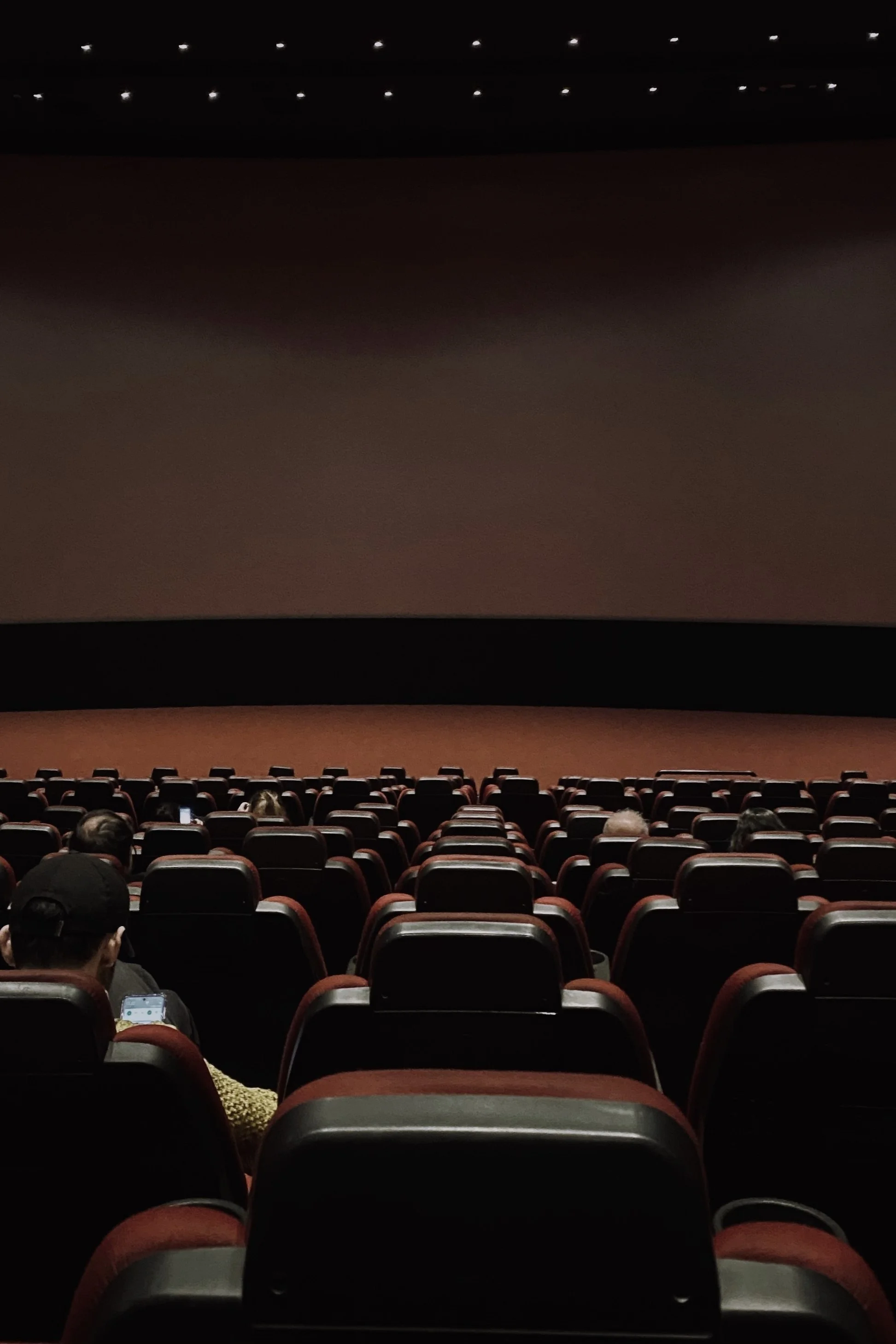 Banner of Cinepolis India